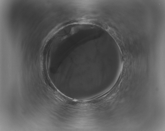 X0000073400295200608111306