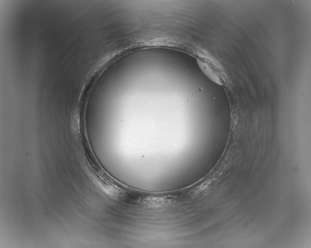 X0000073400298200608111306
