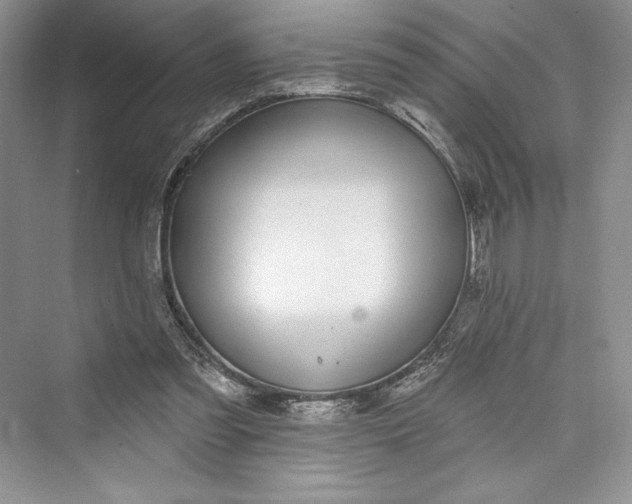 X0000073400301200608111306