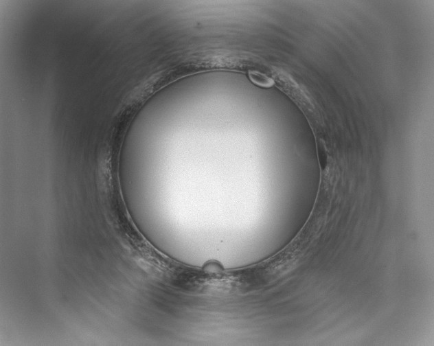 X0000073400306200608111306