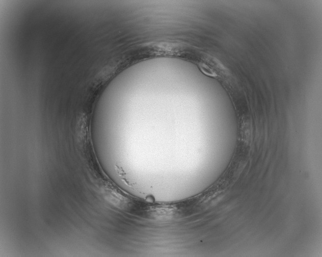 X0000073400318200608111306