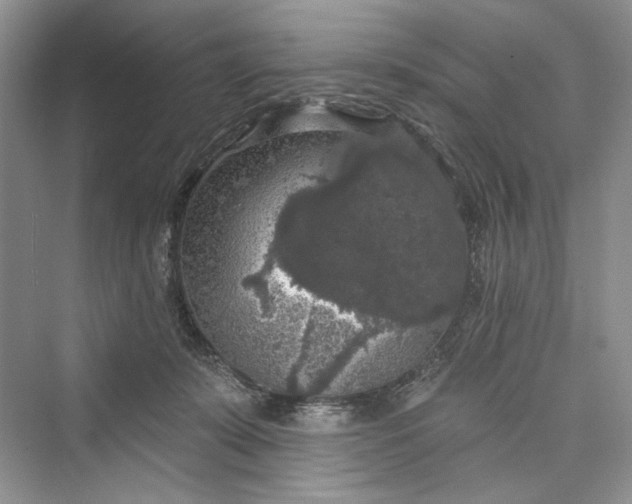 X0000073400319200608111306