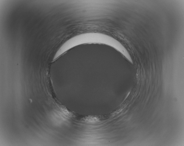 X0000073400322200608111306