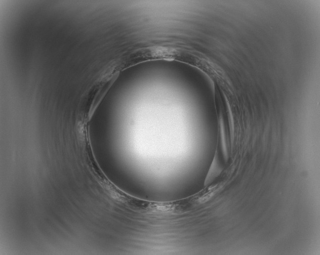 X0000073400329200608111305