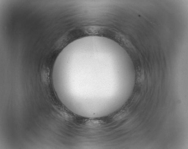 X0000073400332200608111305
