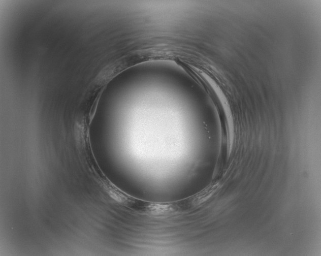 X0000073400333200608111305