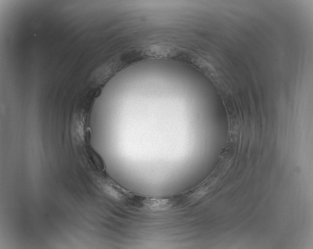 X0000073400334200608111305