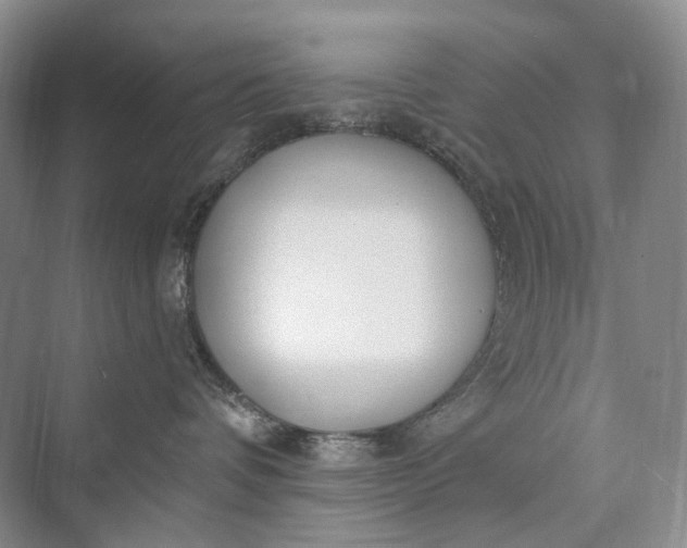 X0000073400336200608111305