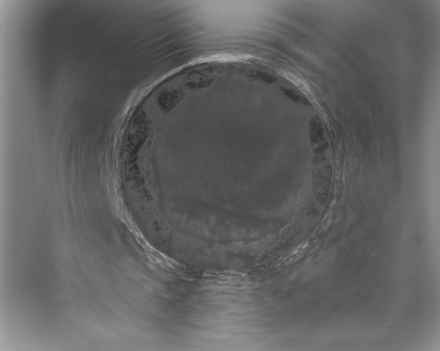 X0000073400337200608111304