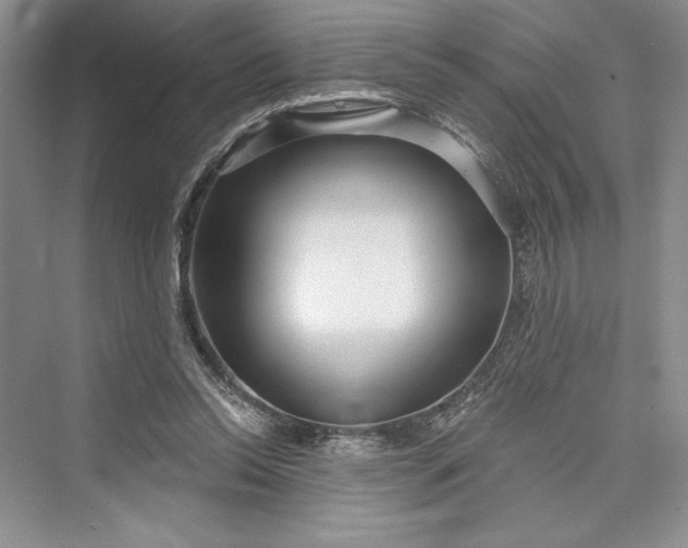 X0000073400350200608111305