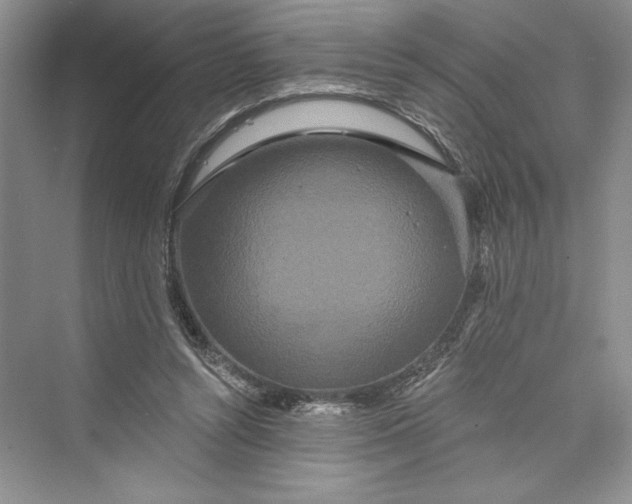 X0000073400352200608111305