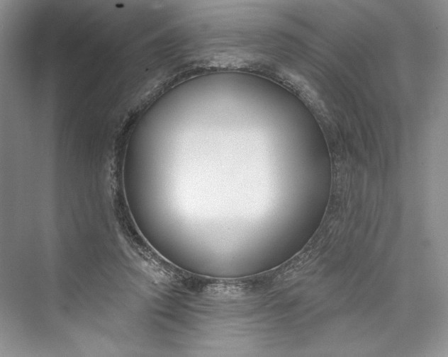 X0000073400354200608111305