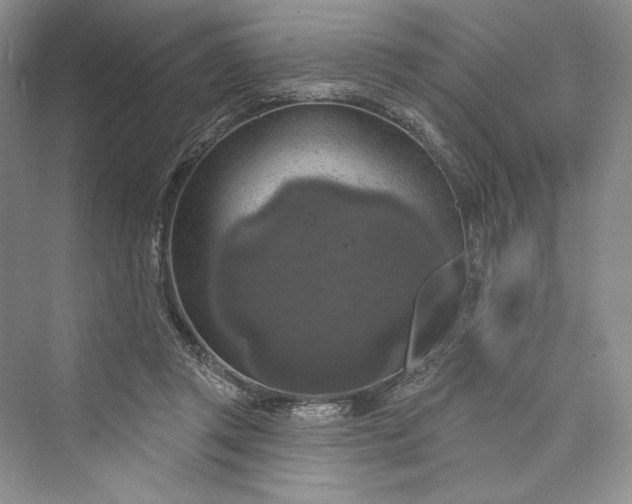 X0000073400357200608111305