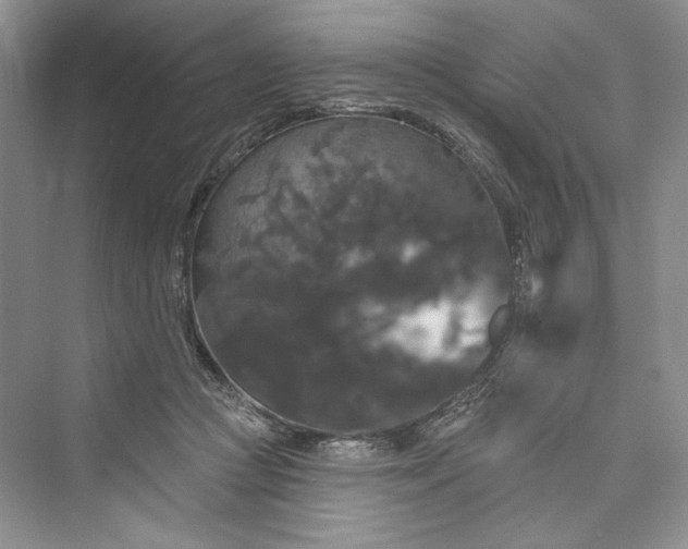 X0000073400361200608111305