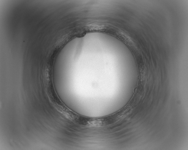 X0000073400362200608111305