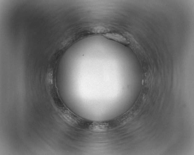 X0000073400368200608111305