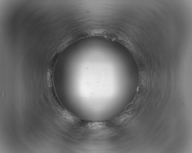 X0000073400378200608111305