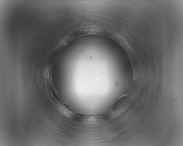 X0000073400382200608111305