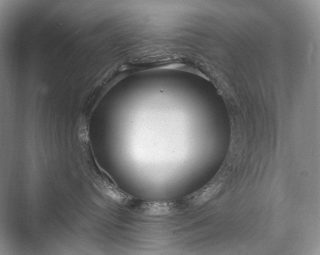 X0000073400384200608111305