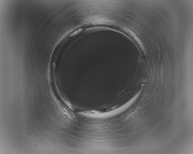 X0000073400391200608111304