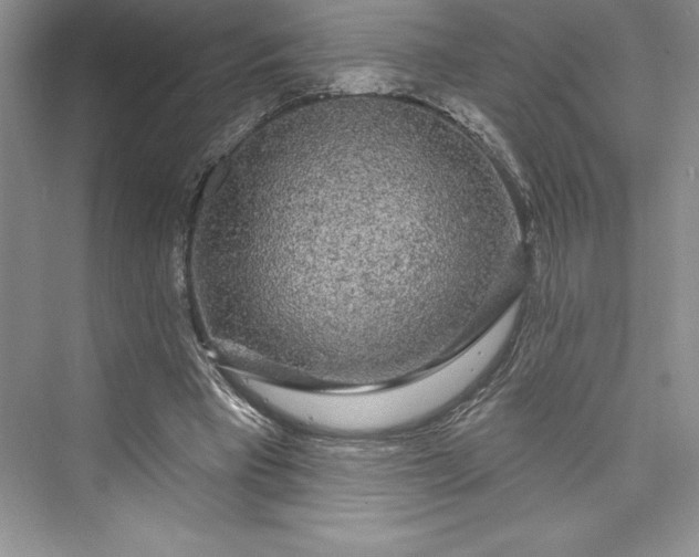 X0000073400393200608111304