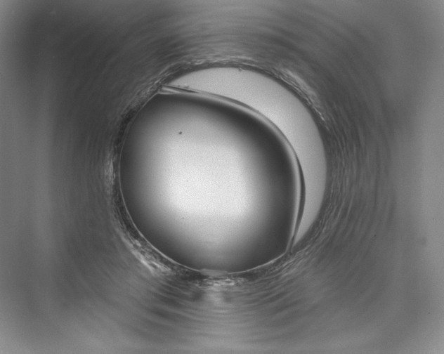 X0000073400405200608111304