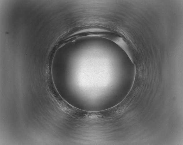 X0000073400407200608111304