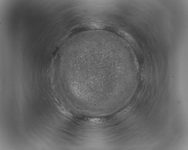 X0000073400409200608111304