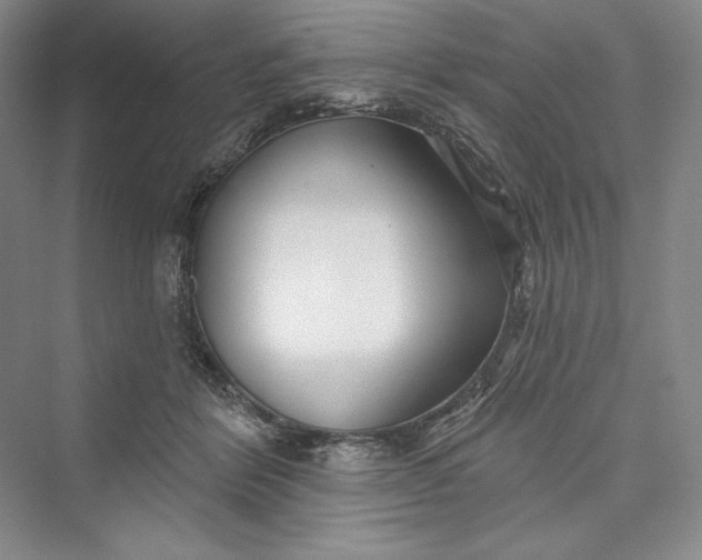 X0000073400412200608111304