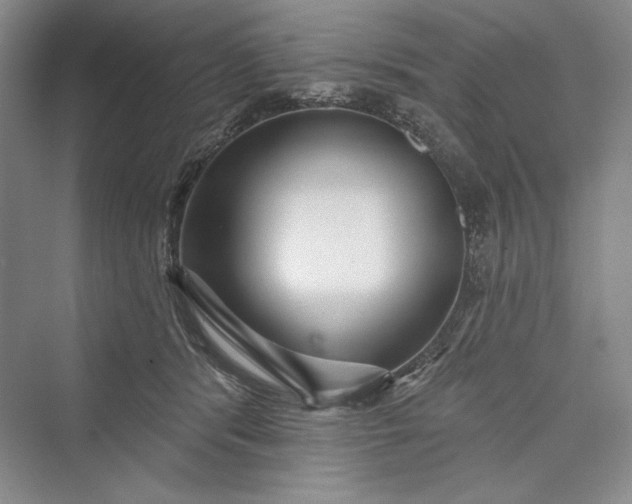 X0000073400416200608111304