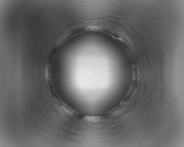 X0000073400417200608111304