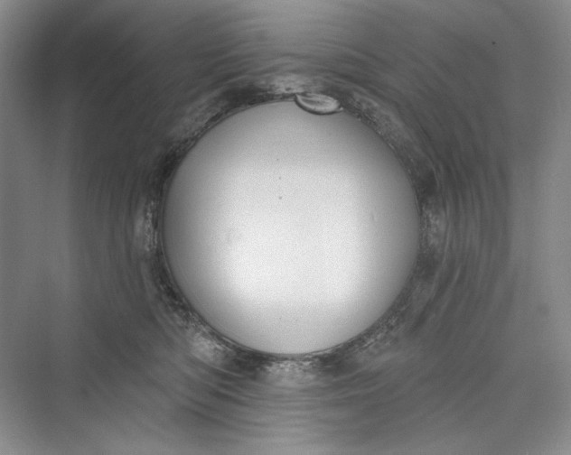 X0000073400422200608111304