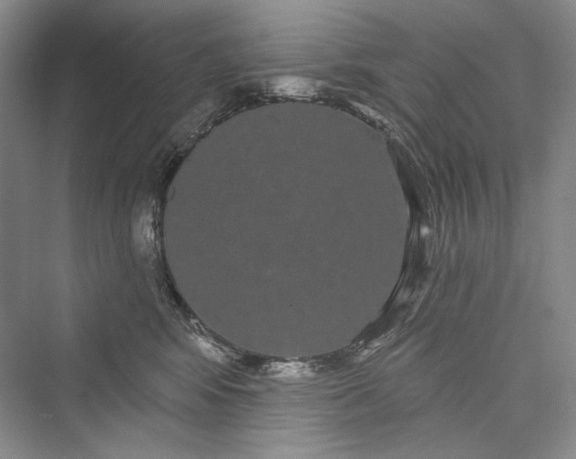 X0000073400424200608111304