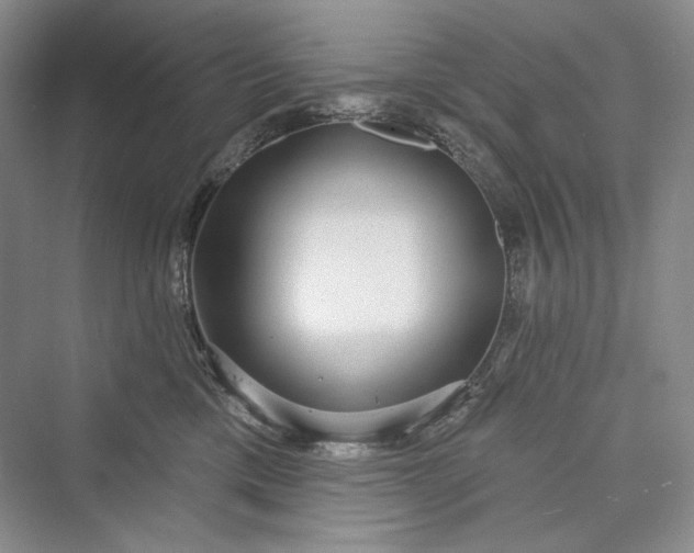 X0000073400425200608111304