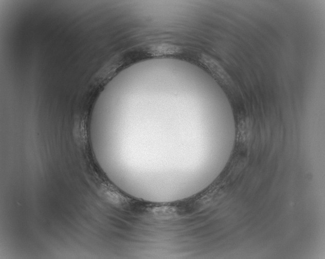 X0000073400426200608111304