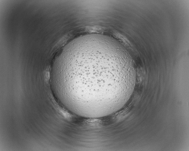 X0000073400427200608111304