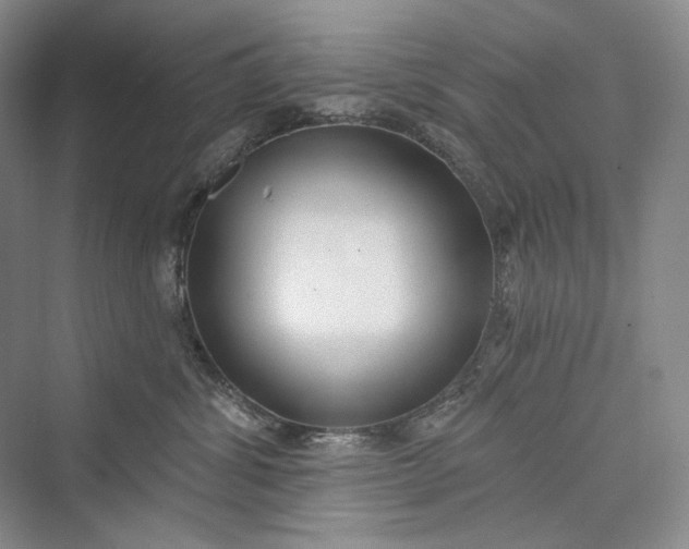 X0000073400428200608111304