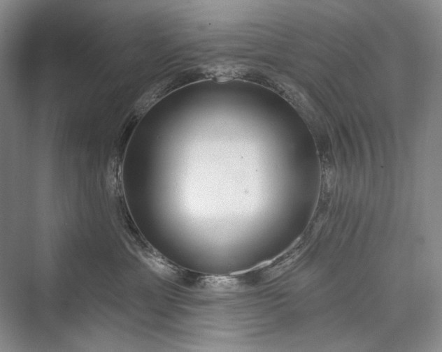X0000073400429200608111304