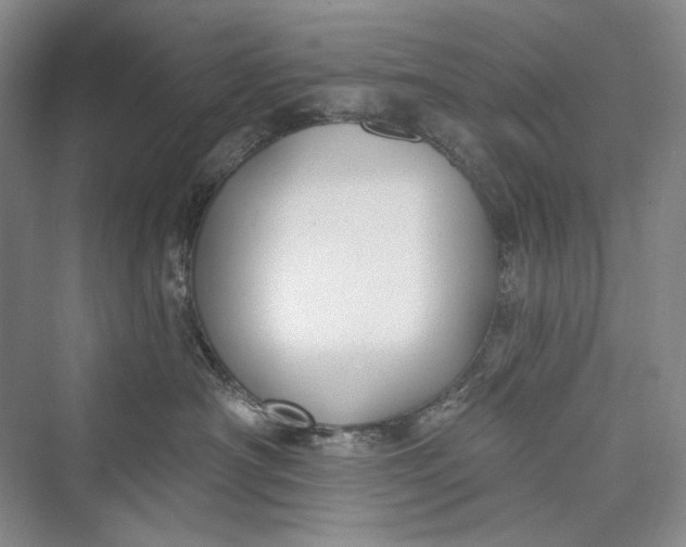 X0000073400430200608111304