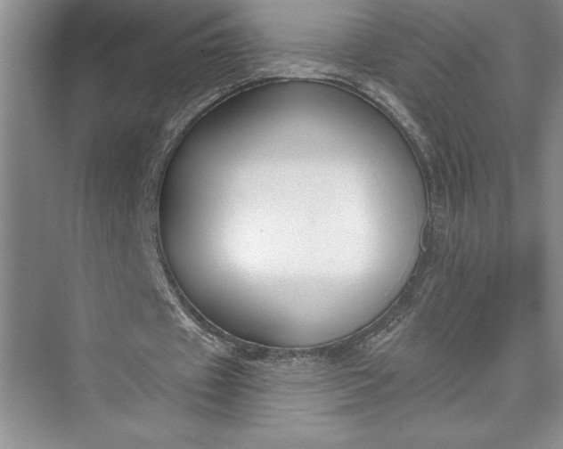 X0000073400433200608111303