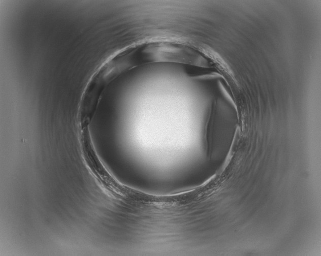 X0000073400436200608111303