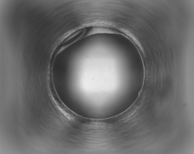 X0000073400437200608111303