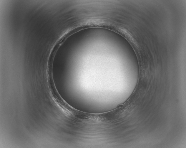 X0000073400439200608111303
