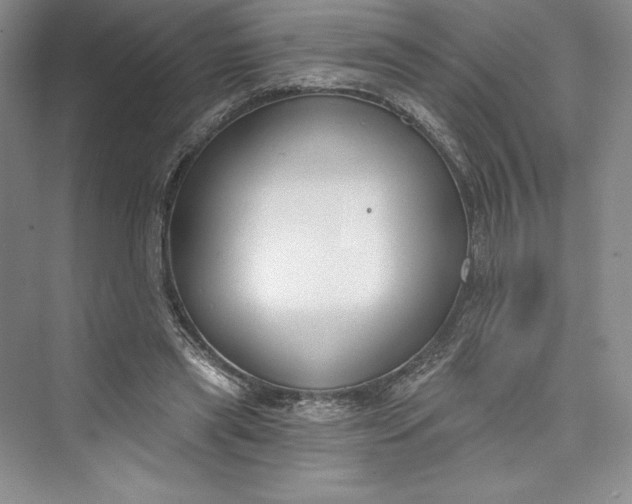 X0000073400445200608111303