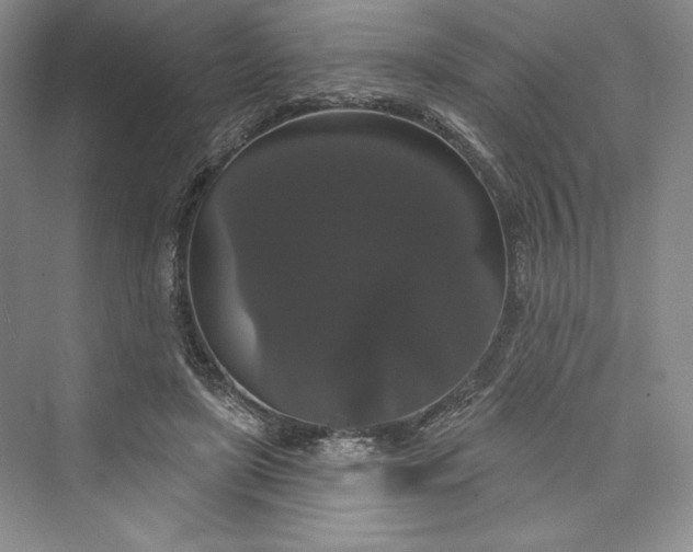 X0000073400451200608111303