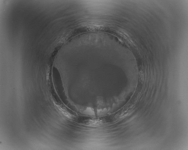 X0000073400458200608111303