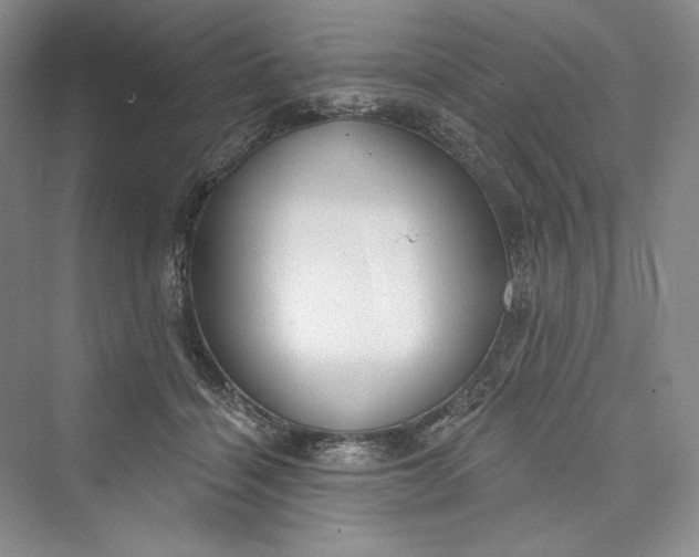 X0000073400460200608111303