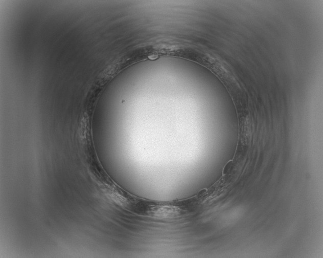 X0000073400463200608111303