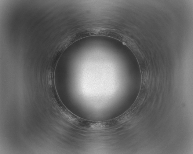 X0000073400470200608111303