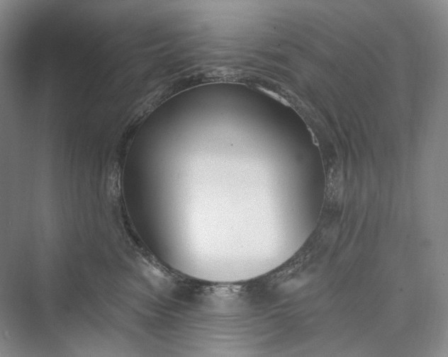 X0000073400474200608111304